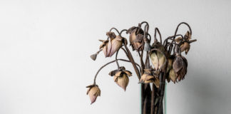 GAO Finds Agency Is Not Improperly Using Protester’s SBIR Technology