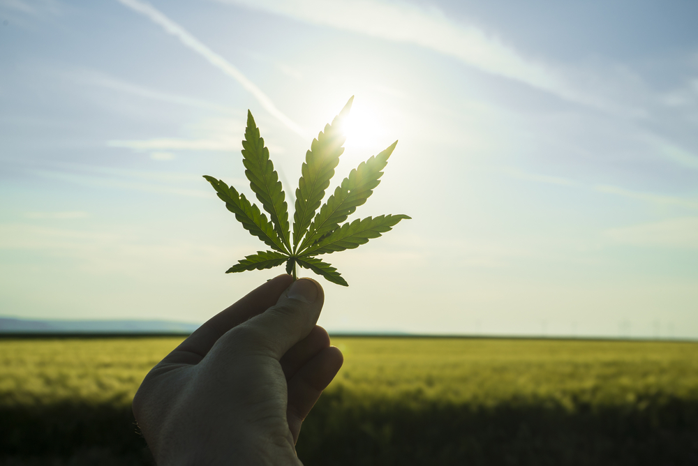 The Wellbeing Impacts of Pot – Informed Suppositions