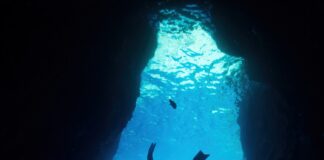 COFC Does a Deep Dive into the Government Control Exception to the Late-Is-Late Rule