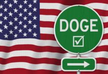 Should DOGE Continue Its Efforts Toward Government Efficiency?