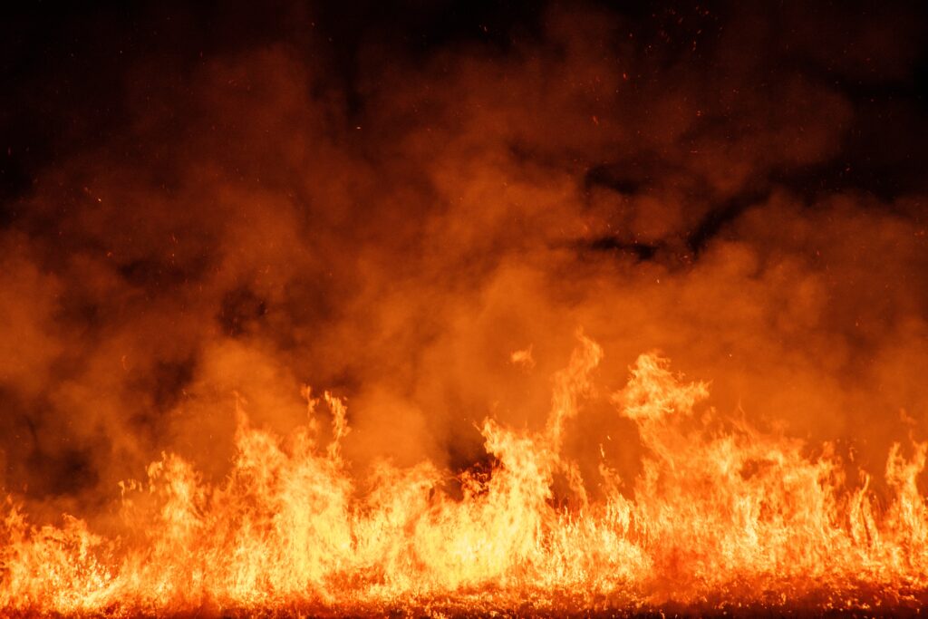 DOGE Went ‘Slash and Burn’ on EPA Frants. Scientists Fear ‘Grave’ Impacts