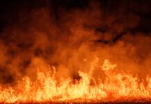 DOGE Went ‘Slash and Burn’ on EPA Frants. Scientists Fear ‘Grave’ Impacts