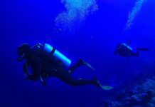 Contractor Dives Into Constructive Change Claim and Resurfaces Victorious